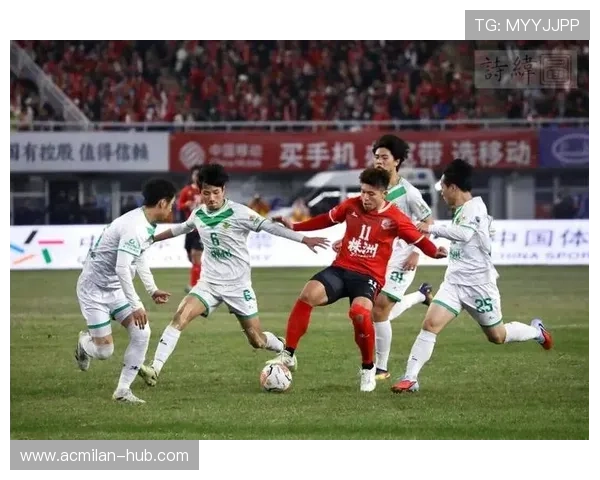 “球场内外：球员的动人故事和激情人生”，关于球员