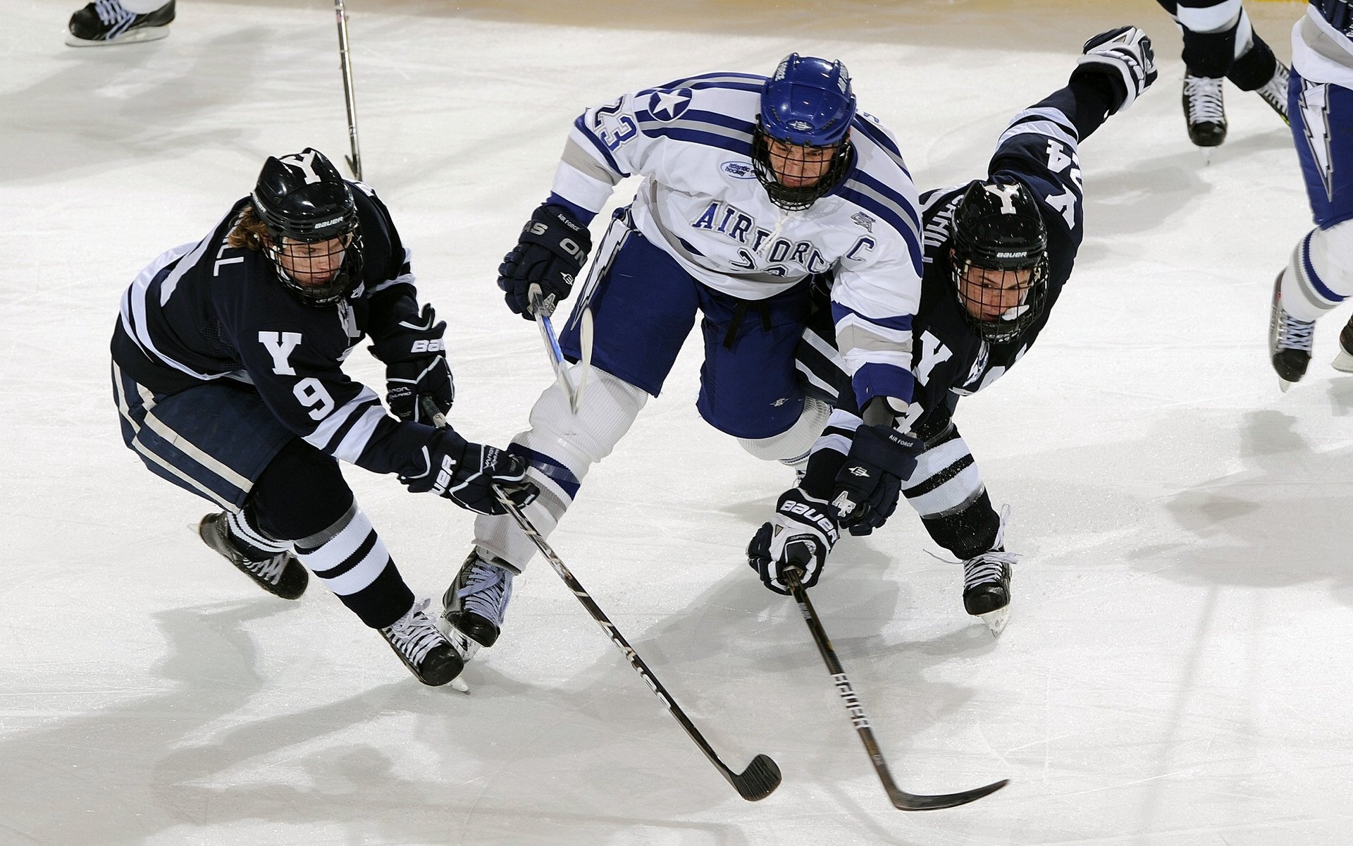 全国幼儿园趣味运动会 示范性活动引导科学运动